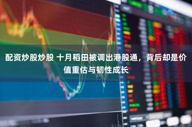 配资炒股炒股 十月稻田被调出港股通，背后却是价值重估与韧性成长