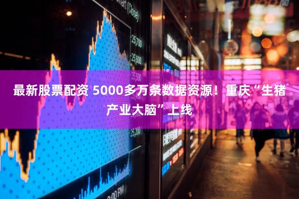 最新股票配资 5000多万条数据资源！重庆“生猪产业大脑”上线