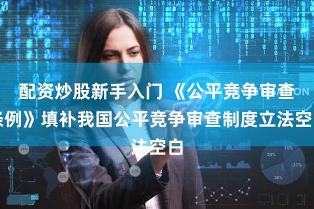 配资炒股新手入门 《公平竞争审查条例》填补我国公平竞争审查制度立法空白