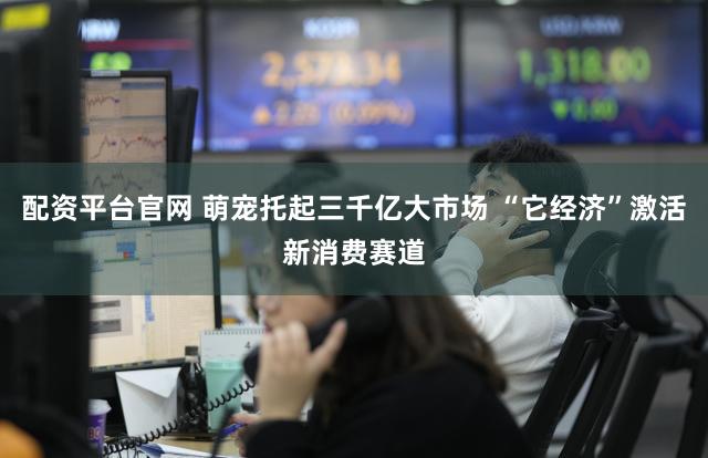 配资平台官网 萌宠托起三千亿大市场 “它经济”激活新消费赛道