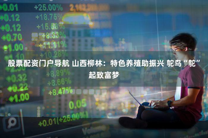 股票配资门户导航 山西柳林：特色养殖助振兴 鸵鸟“鸵”起致富梦