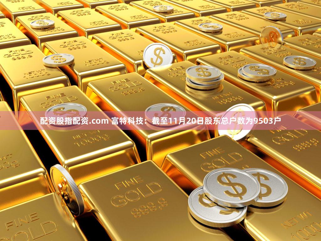 配资股指配资.com 富特科技：截至11月20日股东总户数为9503户