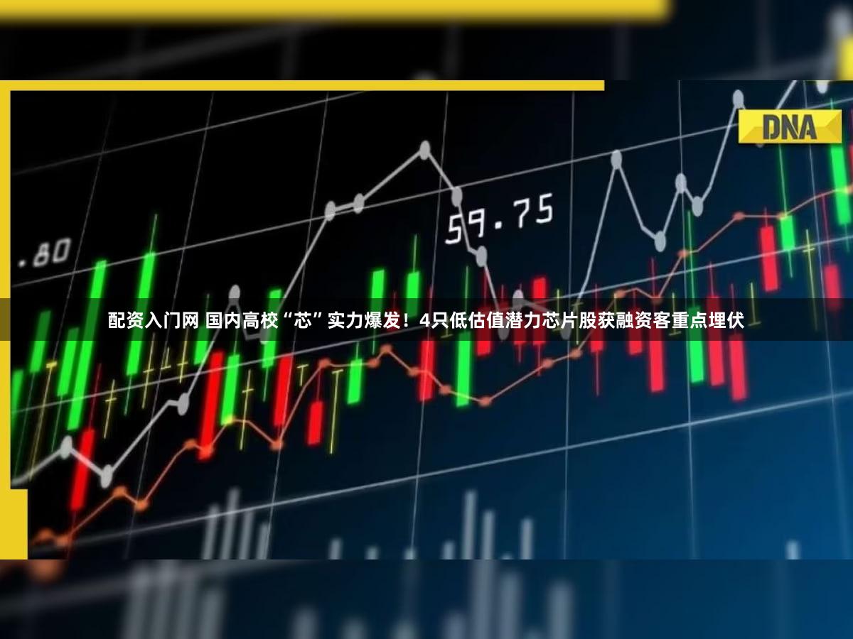 配资入门网 国内高校“芯”实力爆发!4只低估值潜力芯片股获融资客重点埋伏