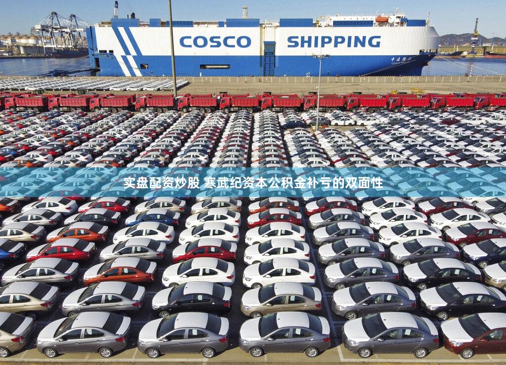 实盘配资炒股 寒武纪资本公积金补亏的双面性