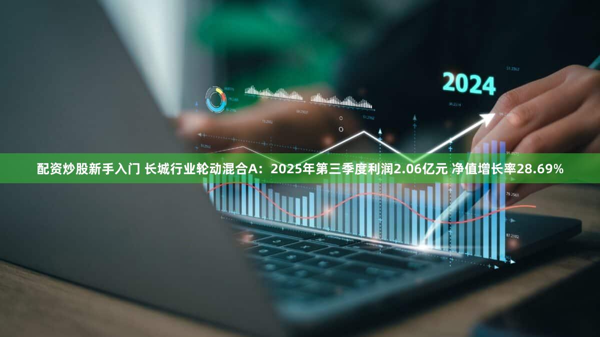 配资炒股新手入门 长城行业轮动混合A：2025年第三季度利润2.06亿元 净值增长率28.69%