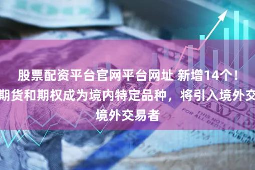 股票配资平台官网平台网址 新增14个！这些期货和期权成为境内特定品种，将引入境外交易者
