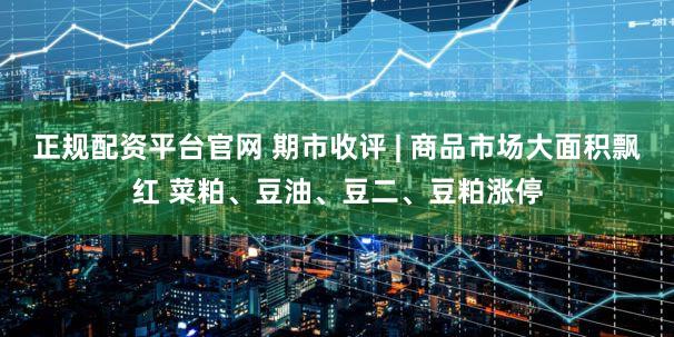正规配资平台官网 期市收评 | 商品市场大面积飘红 菜粕、豆油、豆二、豆粕涨停