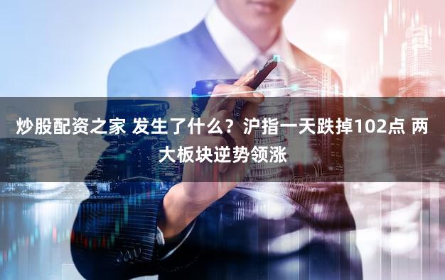 炒股配资之家 发生了什么？沪指一天跌掉102点 两大板块逆势领涨