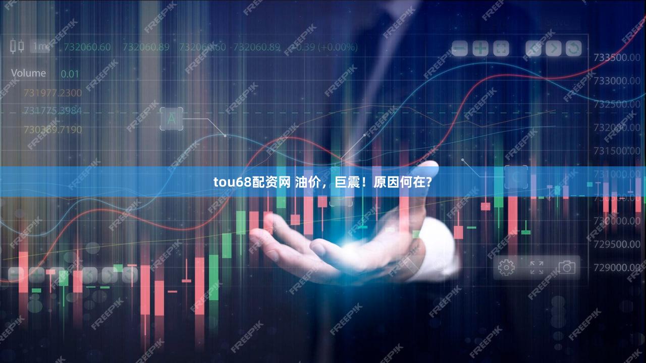tou68配资网 油价，巨震！原因何在?