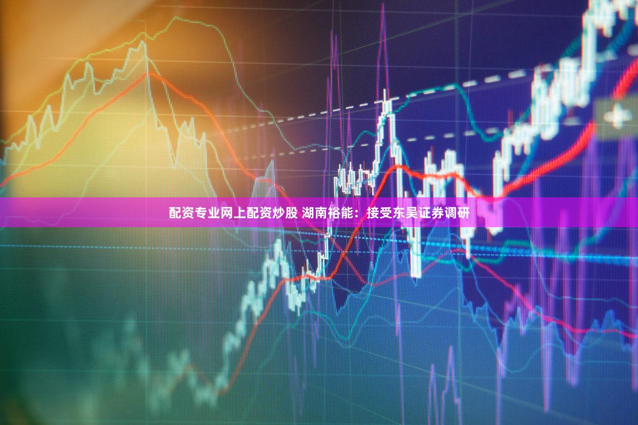 配资专业网上配资炒股 湖南裕能：接受东吴证券调研